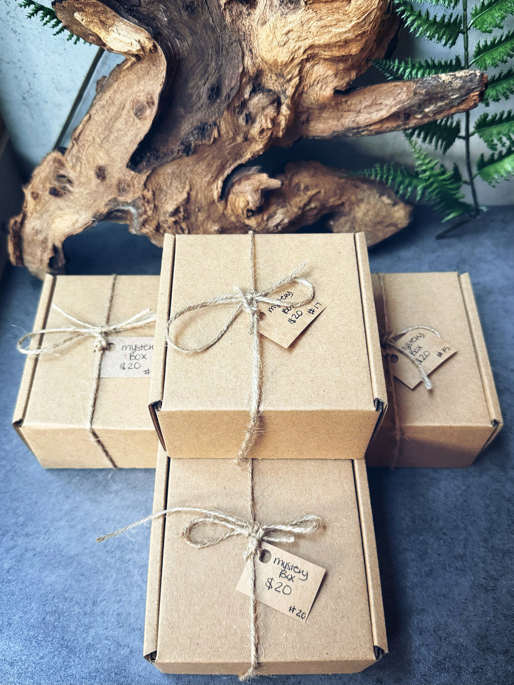 Mystery Boxes- $20 Options