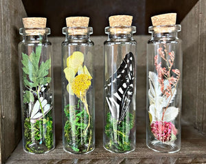 Nature Terrariums