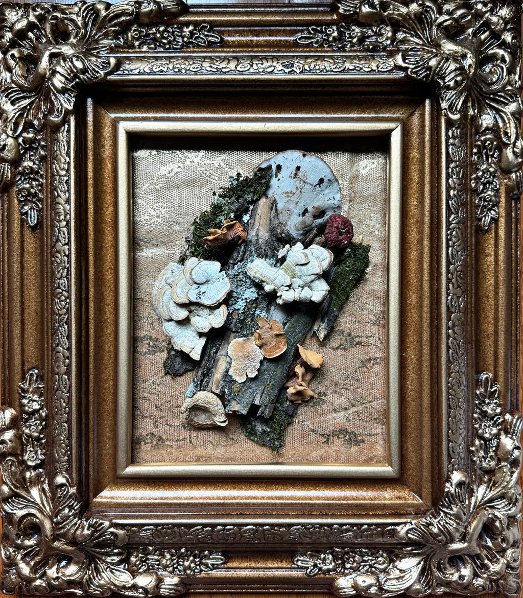ELITE Mushroom Collection Piece