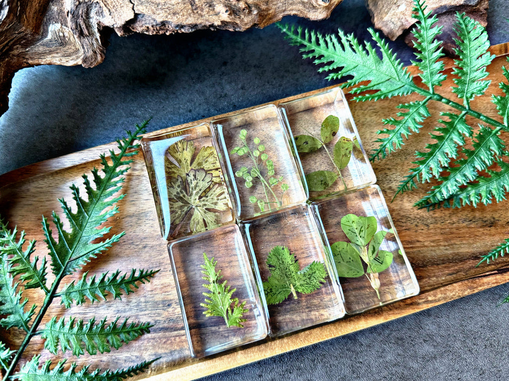 NEW “Plant Collection”