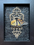 “Monarch”- Butterfly I Personally Raised