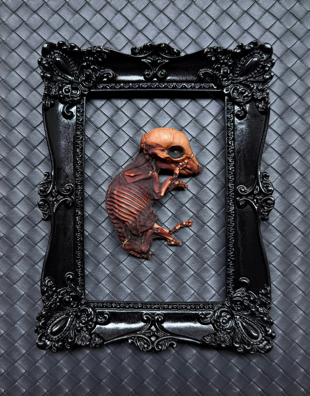 “Mummified Piglet”