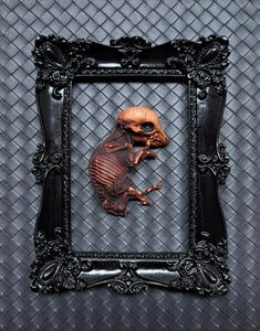 “Mummified Piglet”