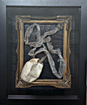 Snake Egg & Skin Collection