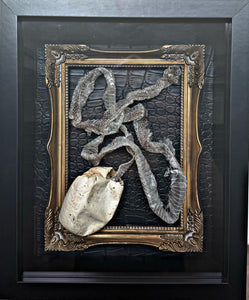 Snake Egg & Skin Collection