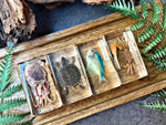 NEW “Sea Collection”