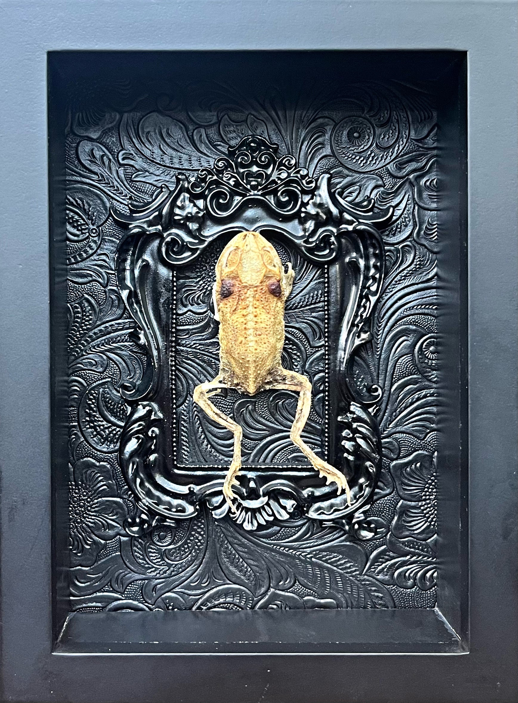 “Frog Skeleton”