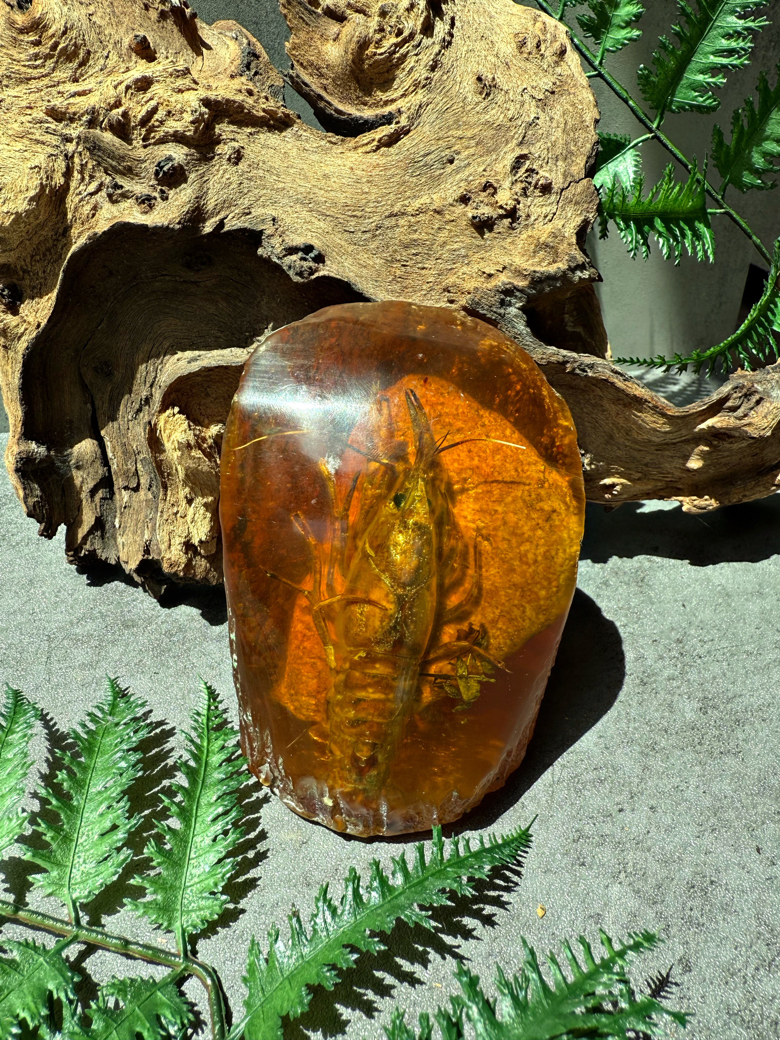 EXTREMELY RARE- “Fossilized Amber Shrimp”