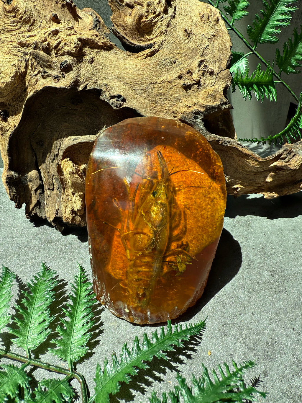 EXTREMELY RARE- “Fossilized Amber Shrimp”