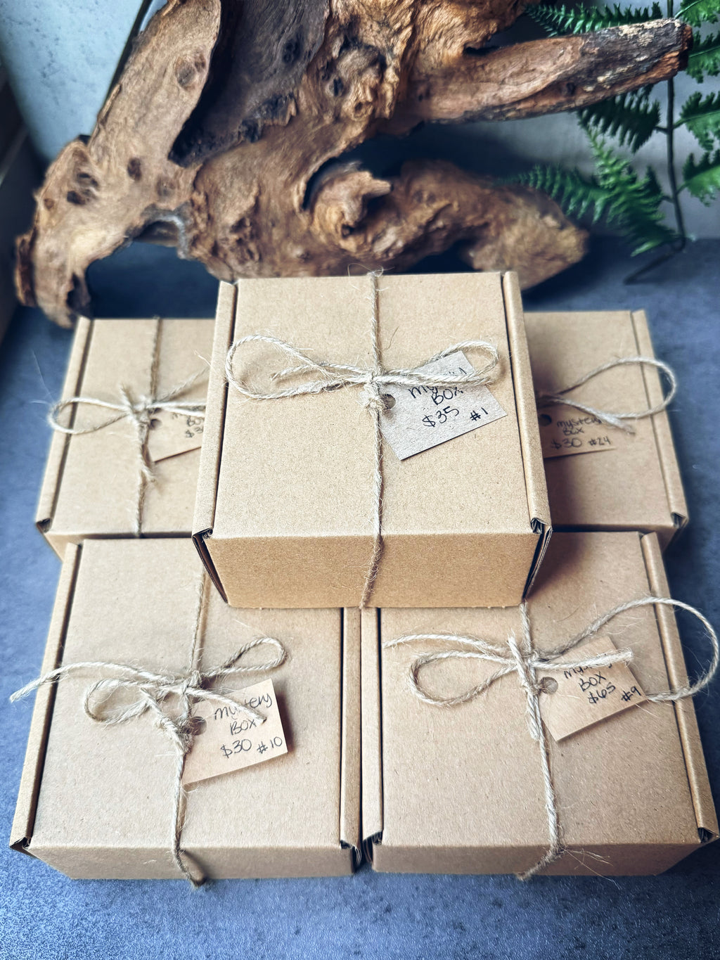 Mystery Boxes- $30 and Up