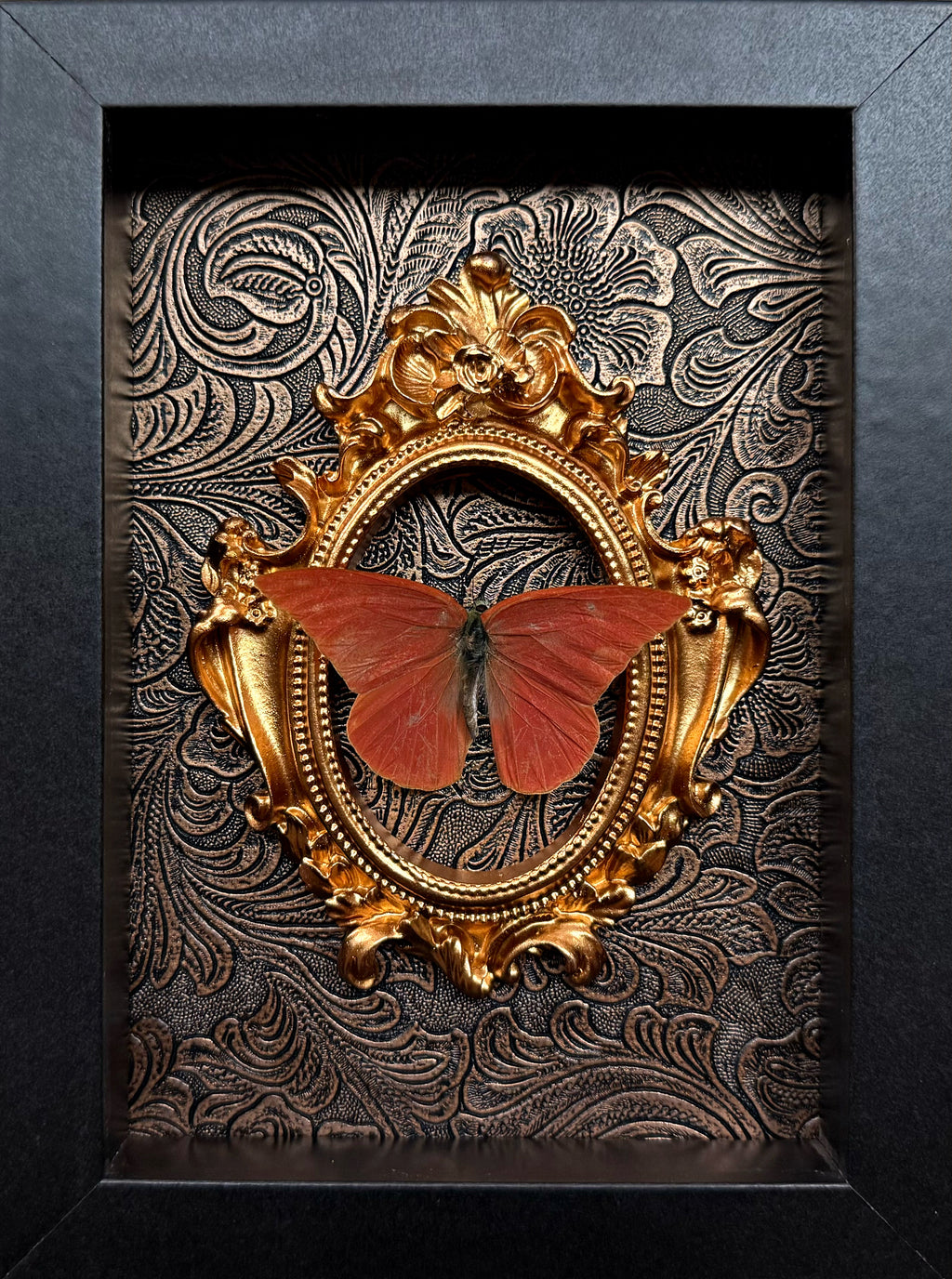 Appias Nero- Butterfly