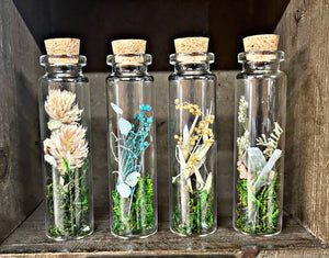 Nature Terrariums