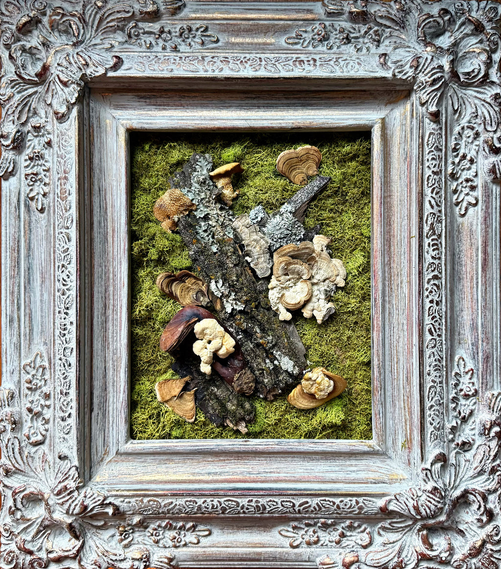 ELITE Mushroom Collection Piece