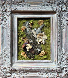 ELITE Mushroom Collection Piece