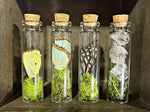 “Nature Terrariums”