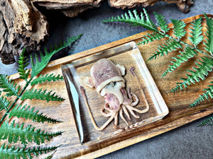 NEW “Squid”