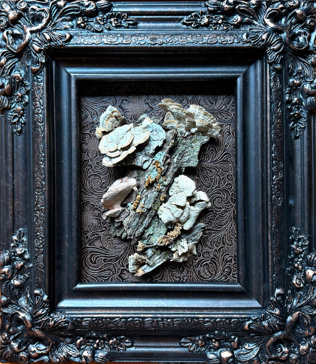 ELITE Mushroom Collection Piece
