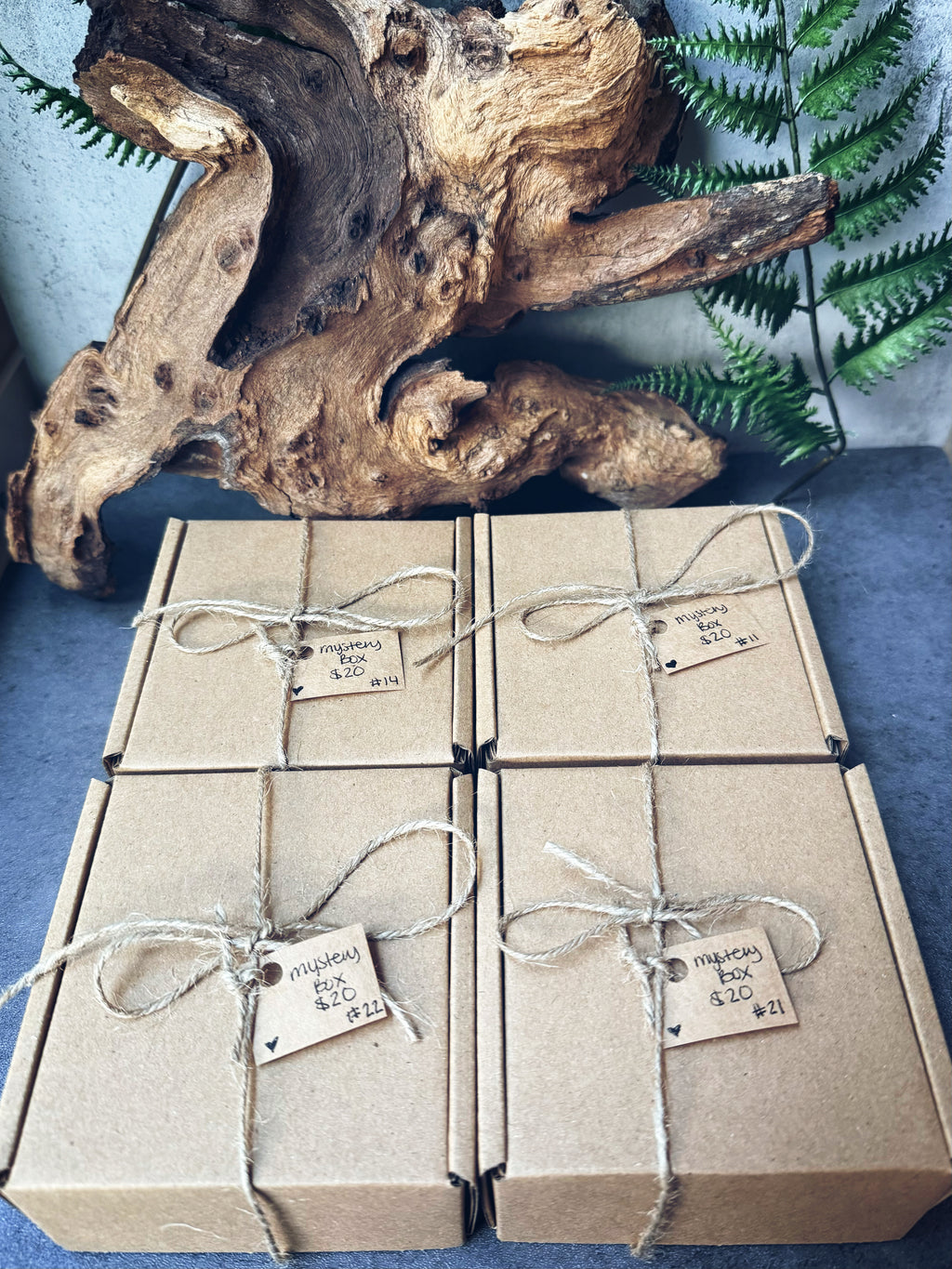Mystery Boxes- “Extra Special Boxes”