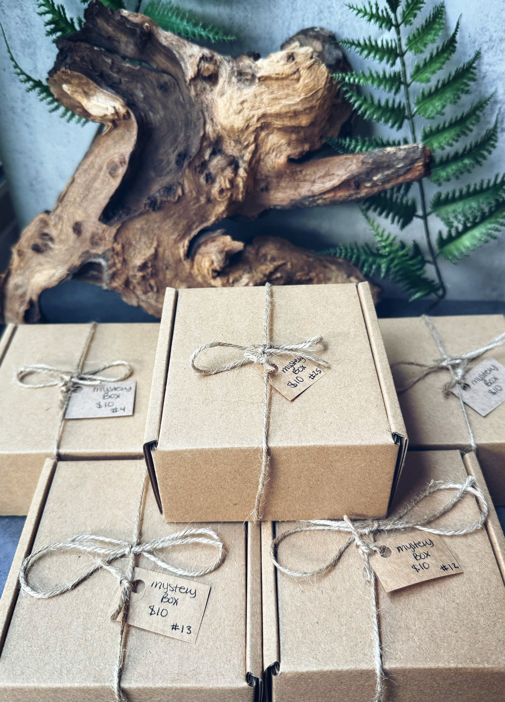 Mystery Boxes- $10 Options