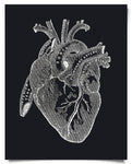 Vintage Anatomy Heart Diagram Black Print
