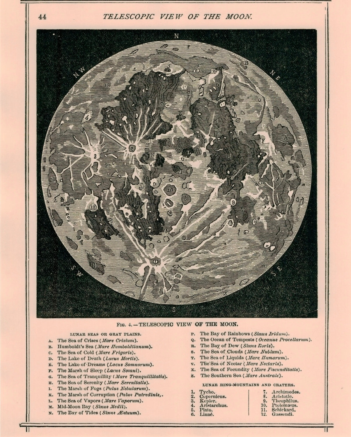 NEW “Moon”