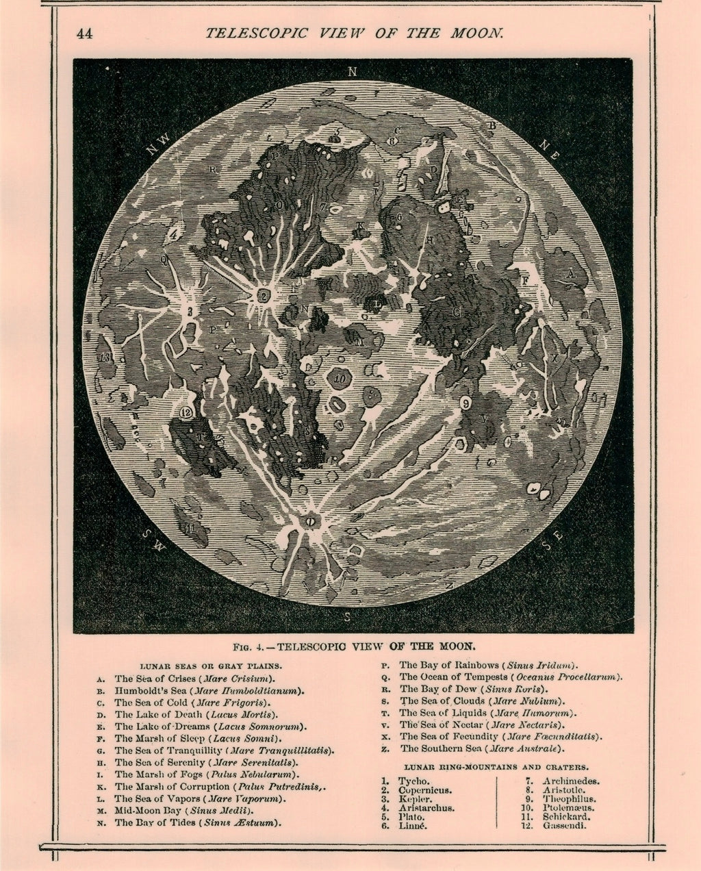 NEW “Moon”