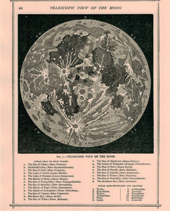 NEW “Moon”