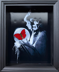 “Cymothoe Sangaris”- Butterfly