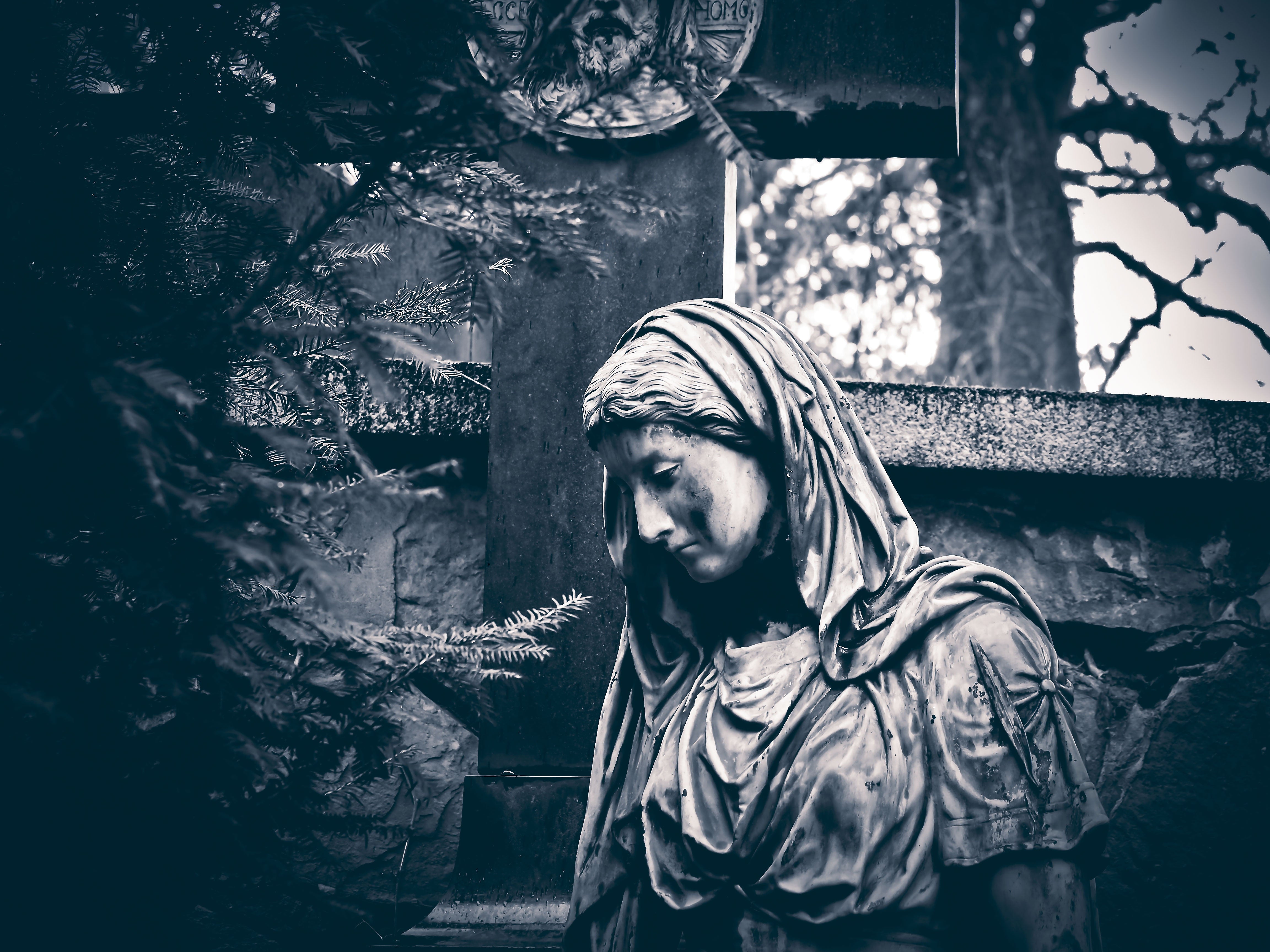 NEW “The Veil”