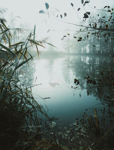 NEW “Still Waters”