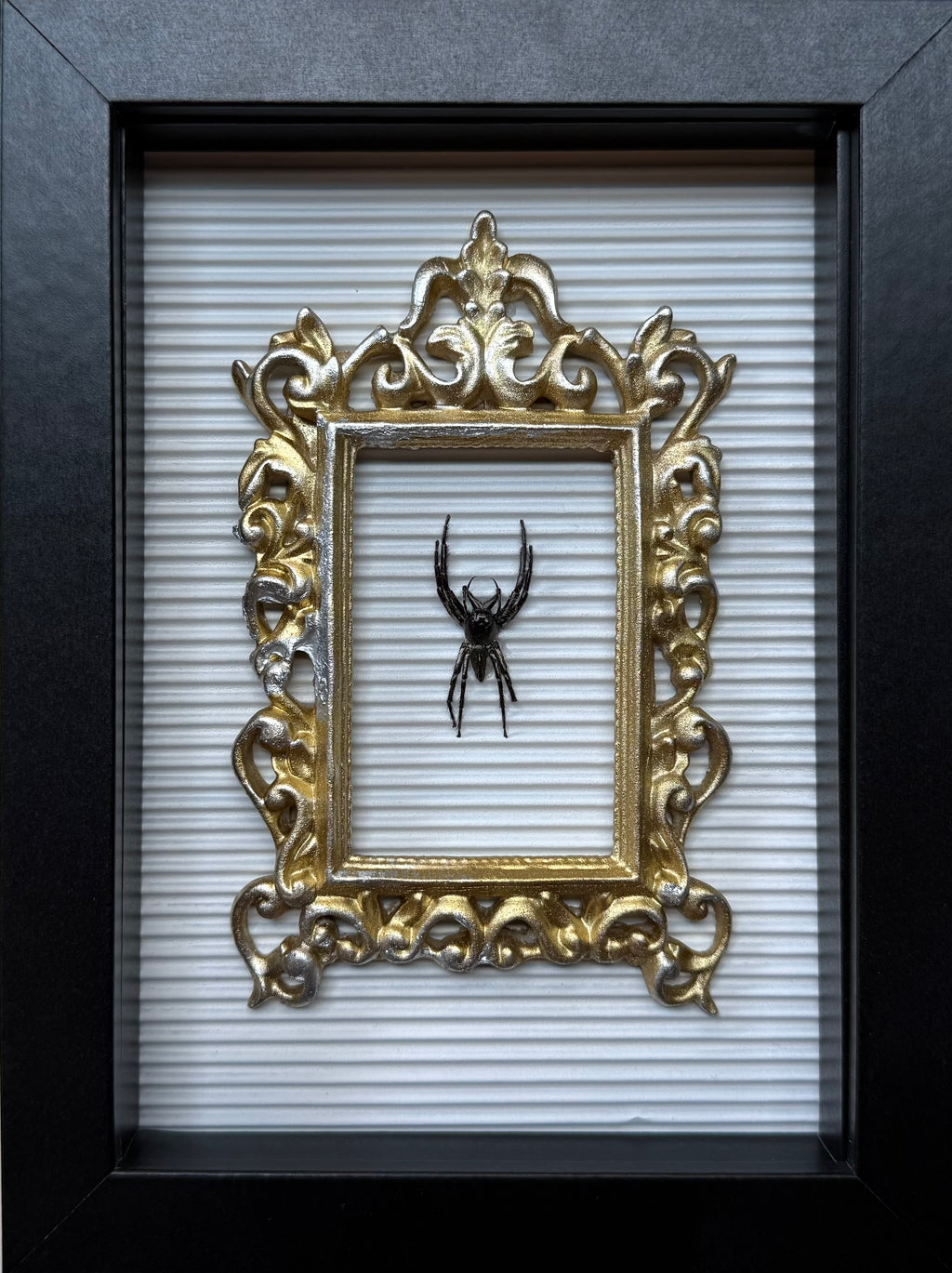 “Giant Jumping Spider”