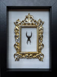 “Giant Jumping Spider”