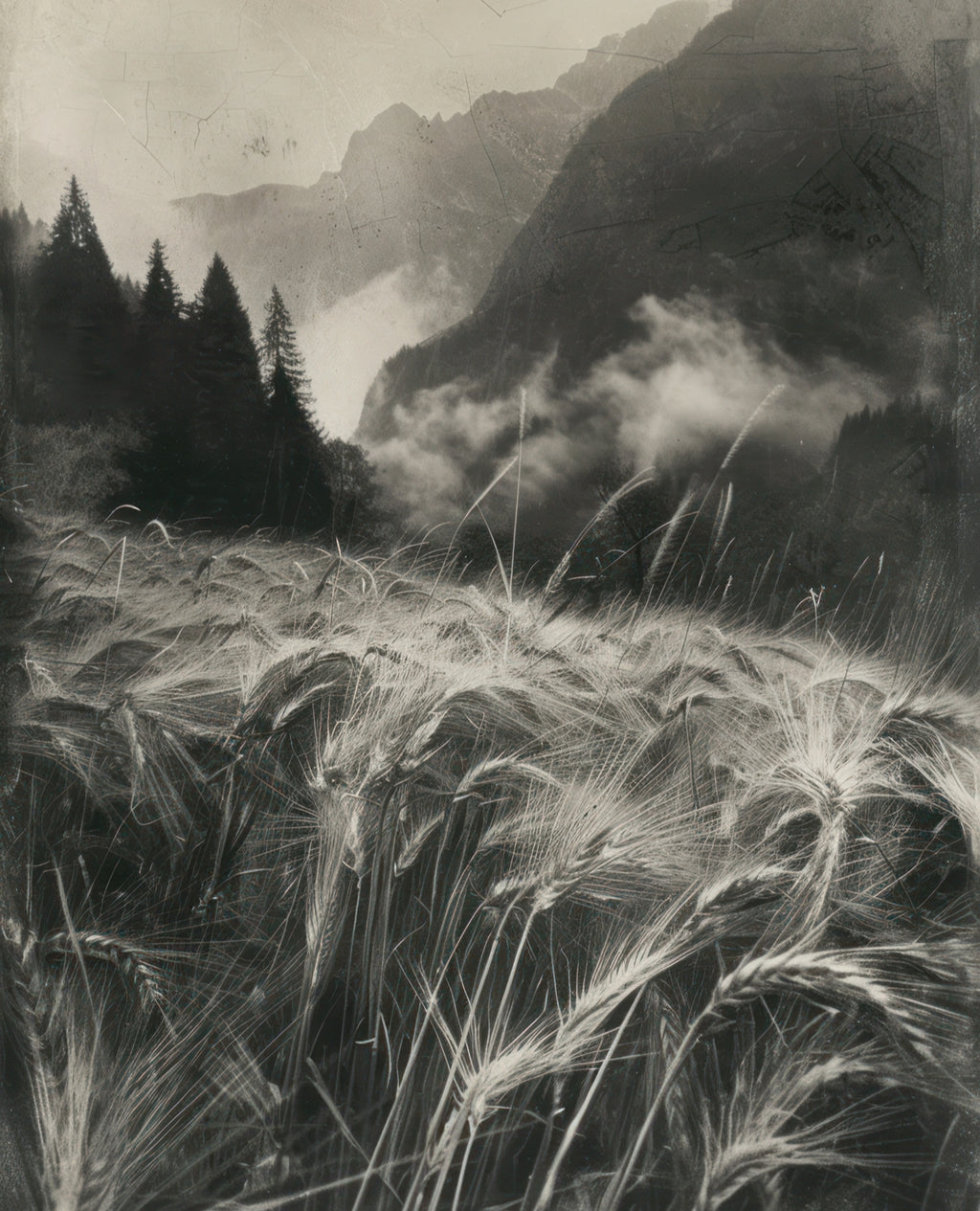 NEW- “Rolling Thunder”