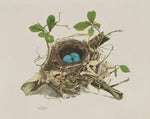 Vintage Wood Thrush Bird Nest Print