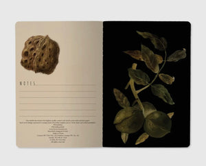 Journal- Forest Flora