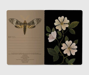 Journal- Night Garden