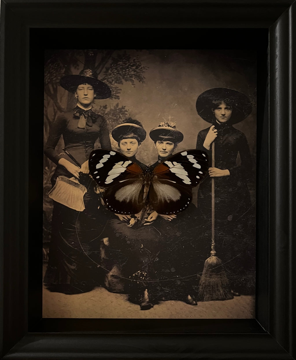 “Trajans Forest Queen”- Butterfly