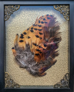 “English Pheasant Feather”