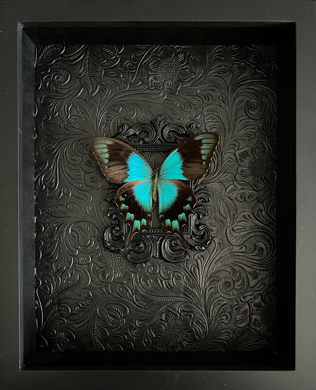 Custom Butterfly