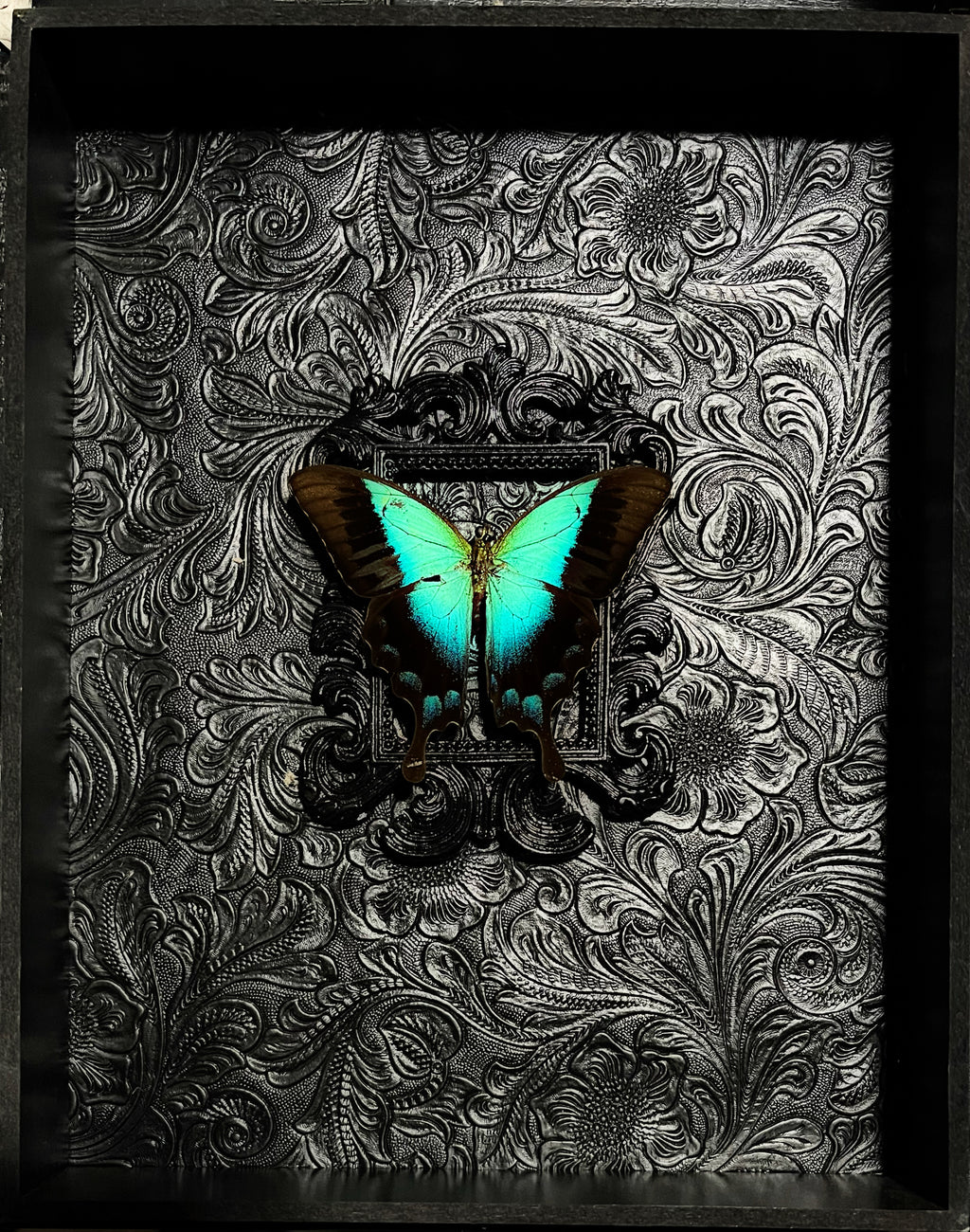 Custom Butterfly