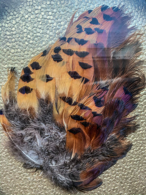 “English Pheasant Feather”