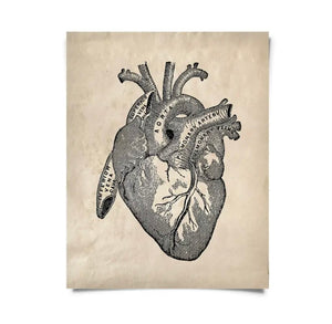 Vintage Anatomy Heart Diagram Print